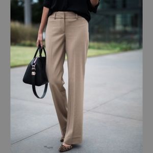 neutral Dress pants
